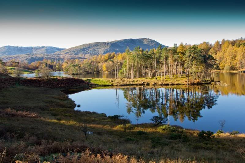 IMAGE: http://i5.photobucket.com/albums/y163/homerplaysbass/IMG_5590_zpsadf37cb1.jpg