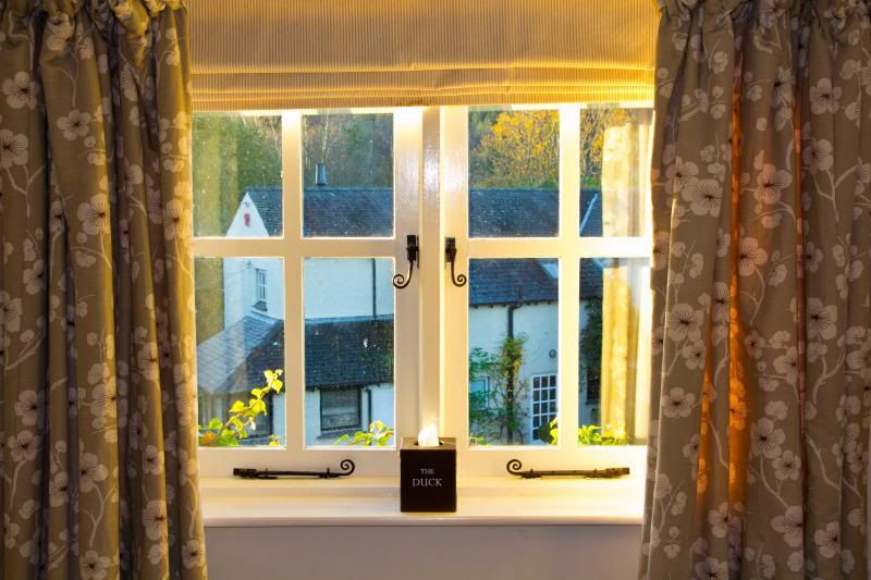 IMAGE: http://i5.photobucket.com/albums/y163/homerplaysbass/IMG_5621_zpsfce619d3.jpg