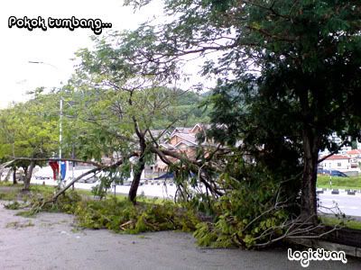 The Tree fell