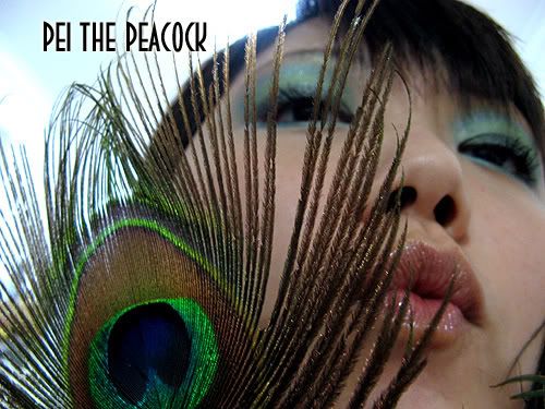 Peacock6.jpg