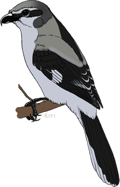 shrikecol_zps885f4a41.png