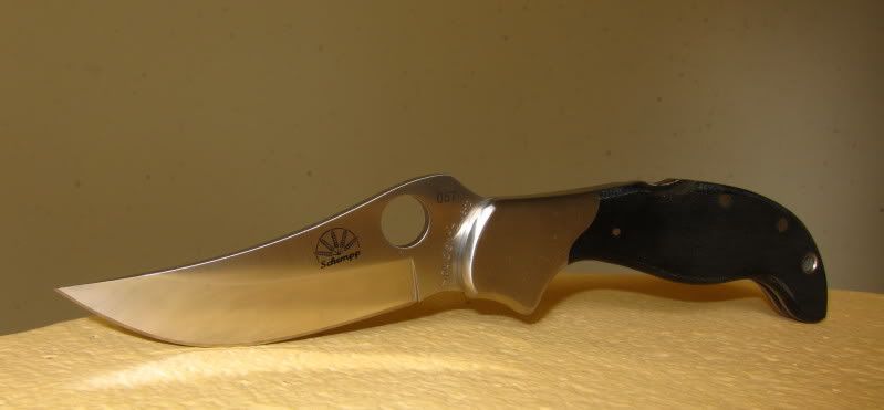 MinSpydercoPersian.jpg