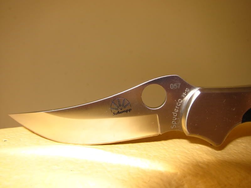 MinSpydercoPersianbild2.jpg