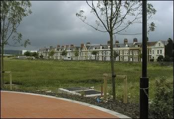 img50.jpg