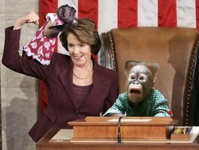 pelosi monkeys