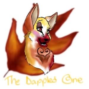 Dheedro the Dappled