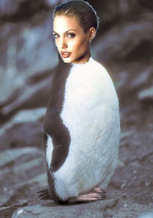 re: OK, who had DG in the BWW gift exchange?