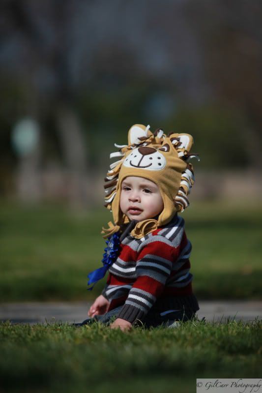 IMAGE: http://i5.photobucket.com/albums/y165/batmangil/IMG_0936.jpg