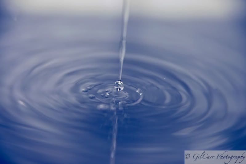 IMAGE: http://i5.photobucket.com/albums/y165/batmangil/IMG_1285.jpg