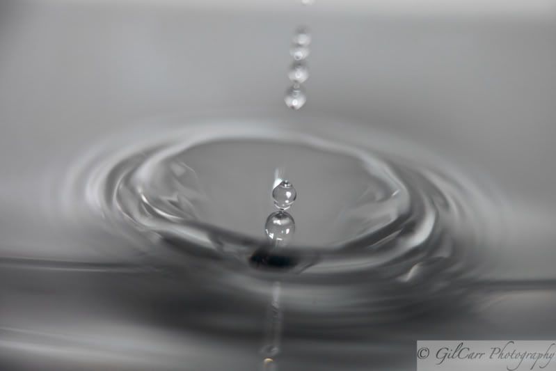 IMAGE: http://i5.photobucket.com/albums/y165/batmangil/IMG_1305.jpg