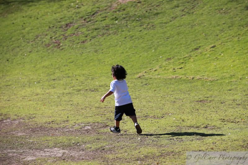 IMAGE: http://i5.photobucket.com/albums/y165/batmangil/IMG_1670.jpg