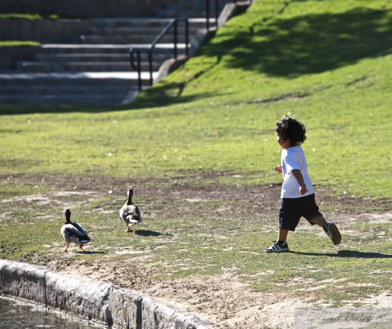 IMAGE: http://i5.photobucket.com/albums/y165/batmangil/IMG_1673.jpg