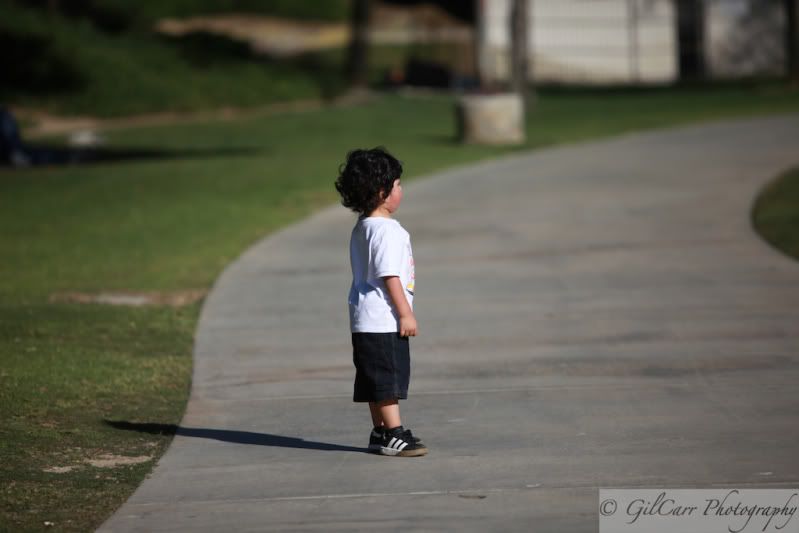 IMAGE: http://i5.photobucket.com/albums/y165/batmangil/IMG_1742.jpg