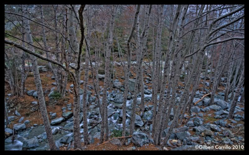 IMAGE: http://i5.photobucket.com/albums/y165/batmangil/IMG_4840.jpg