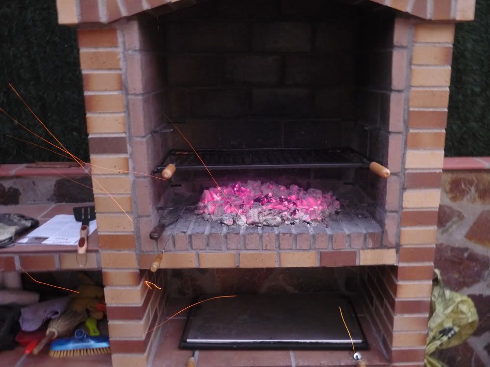 P1000169.jpg