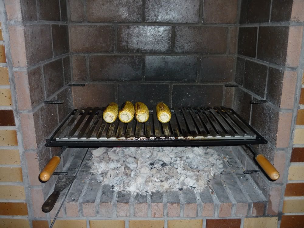 P1000173.jpg