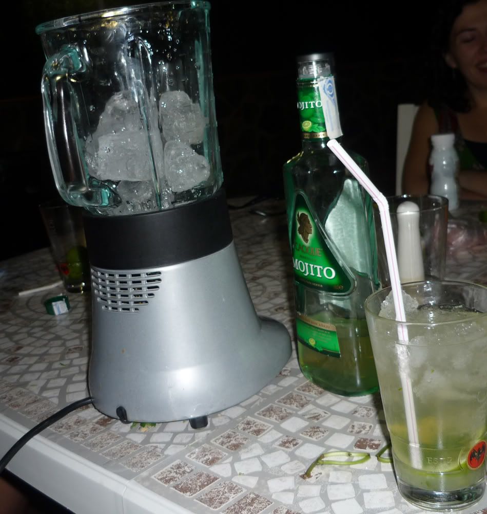 P1000180.jpg