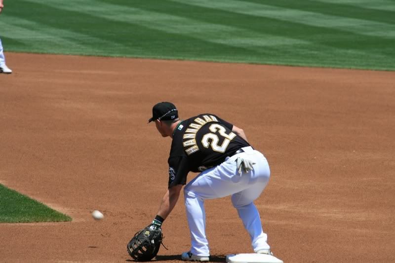 IMAGE: http://i5.photobucket.com/albums/y165/sfbullygirl/Photography%20file/img_13242.jpg