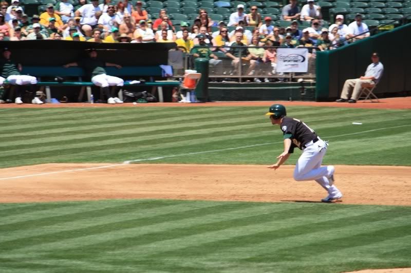 IMAGE: http://i5.photobucket.com/albums/y165/sfbullygirl/Photography%20file/img_13982.jpg