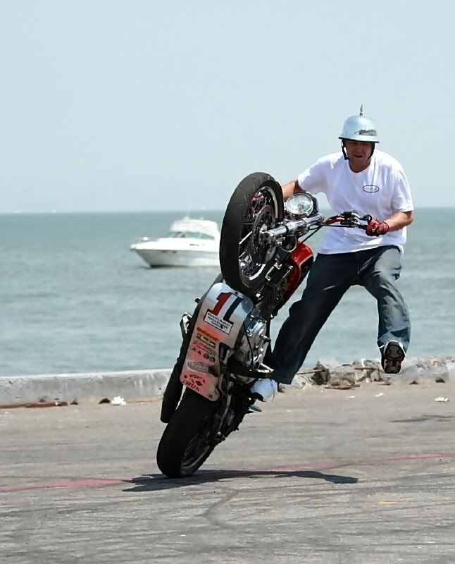 IMAGE: http://i5.photobucket.com/albums/y165/sfbullygirl/img_276022_filtered.jpg