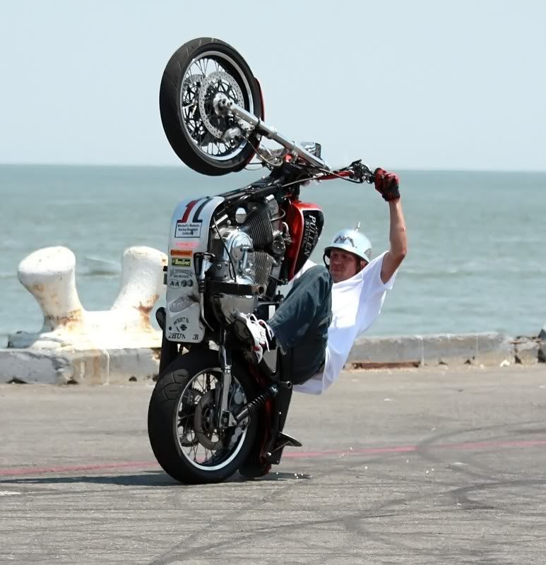 IMAGE: http://i5.photobucket.com/albums/y165/sfbullygirl/img_27692_filtered.jpg