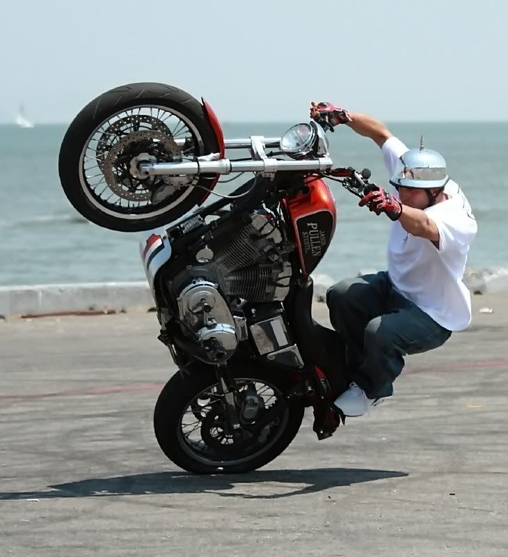 IMAGE: http://i5.photobucket.com/albums/y165/sfbullygirl/img_277122_filtered.jpg