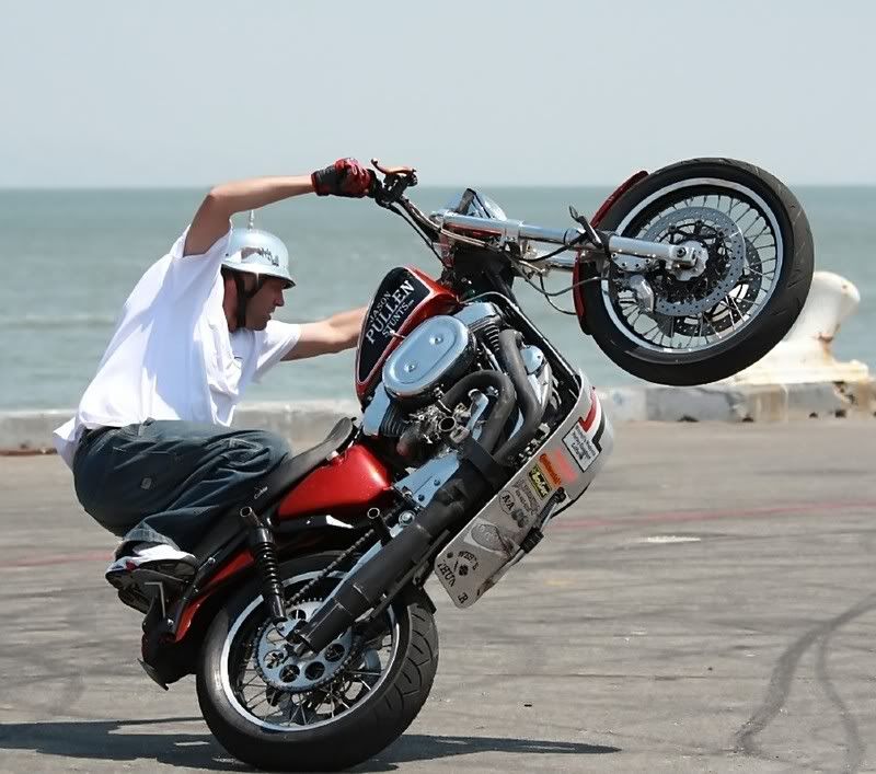 IMAGE: http://i5.photobucket.com/albums/y165/sfbullygirl/img_277222_filtered.jpg