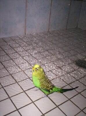 000_2493.jpg