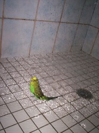 000_2495.jpg