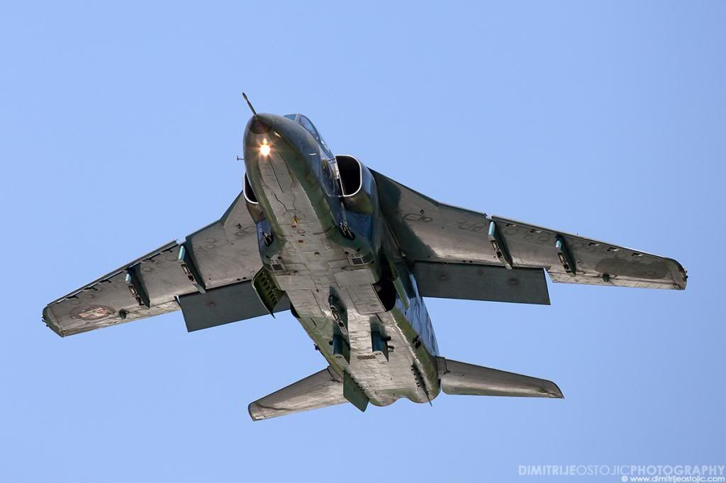 ladjevc_052013_20_zps796c6b9a.jpg%7Eoriginal