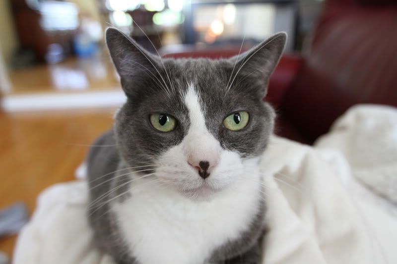 IMAGE: http://i5.photobucket.com/albums/y166/wakmen/forums/IMG_1004.jpg