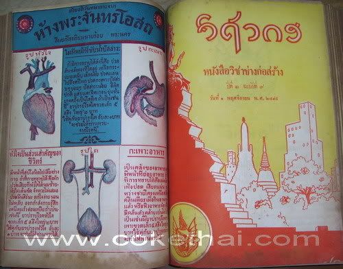 รูปภาพ