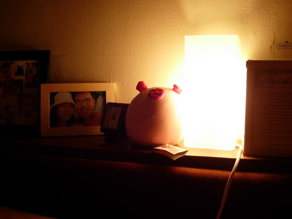 My lovely little Ikea lamp