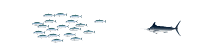 marlin_baitball.gif