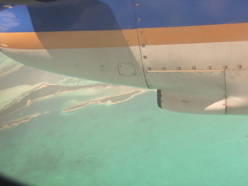 VacanzeBahamasMiamiagosto2006172.jpg