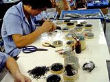 cmc diecast assembly