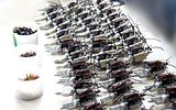 cmc diecast assembly