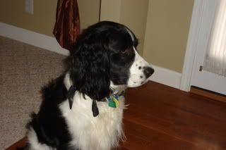 DSC02016.jpg