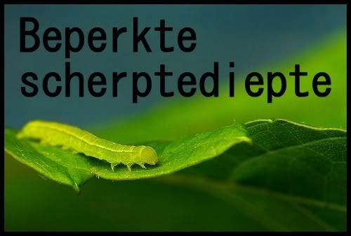 Fotografie