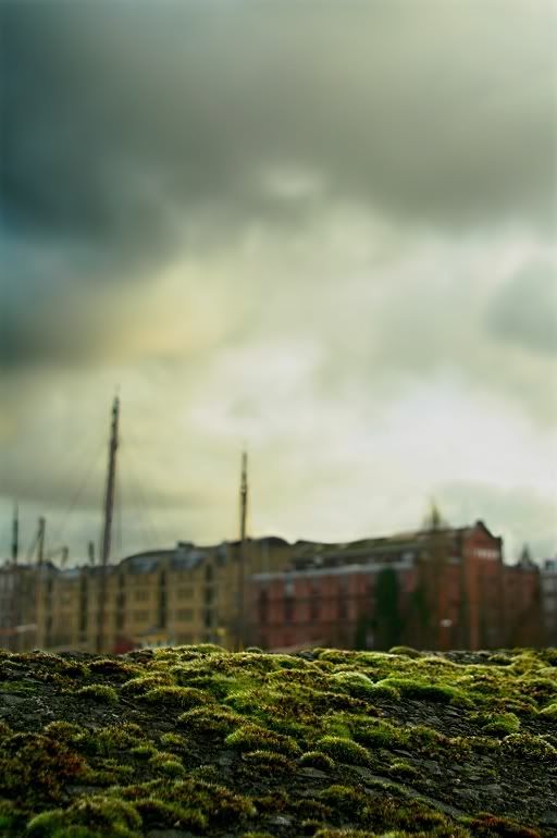Fotografie