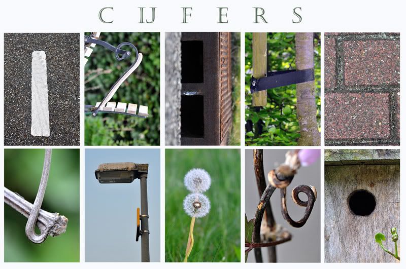 Fotografie