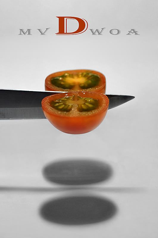 Fotografie