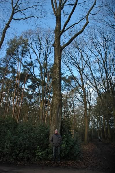Fotografie