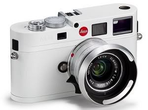 Fotografie