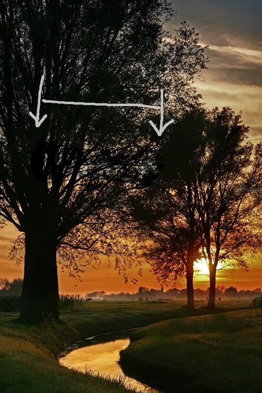 Fotografie