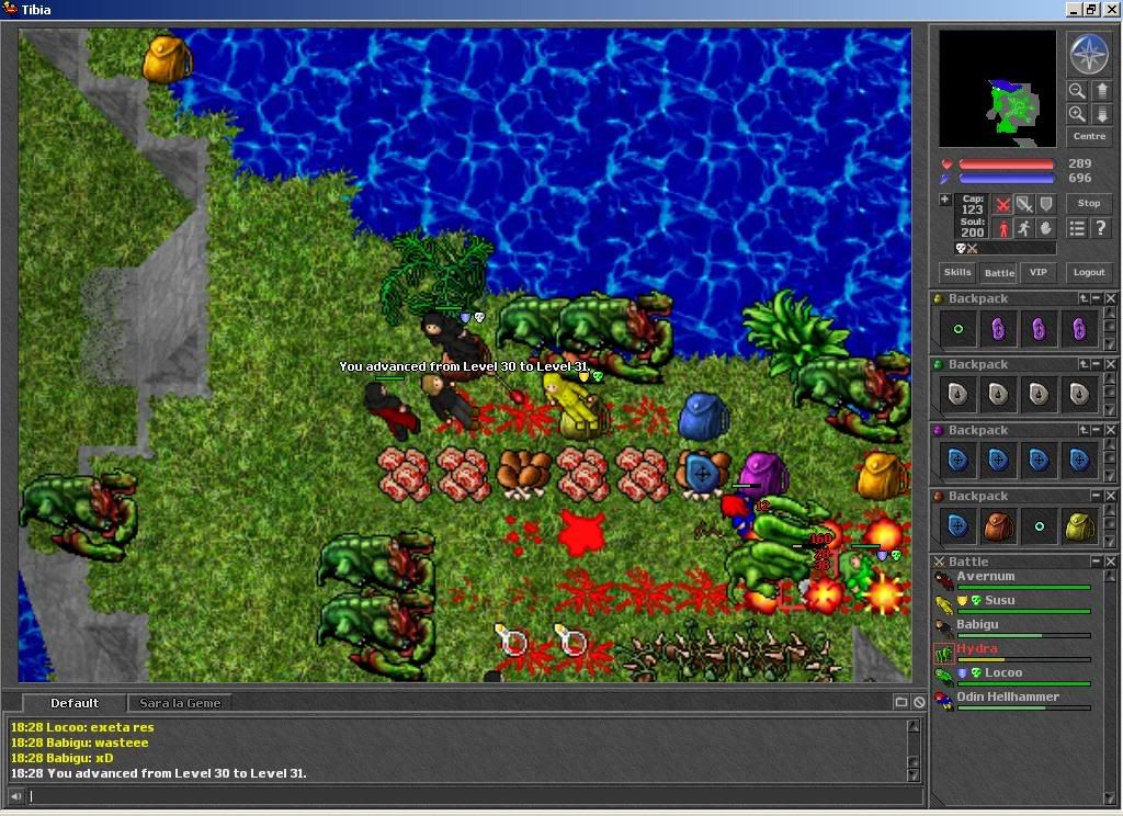 31 photo LVL31.jpg