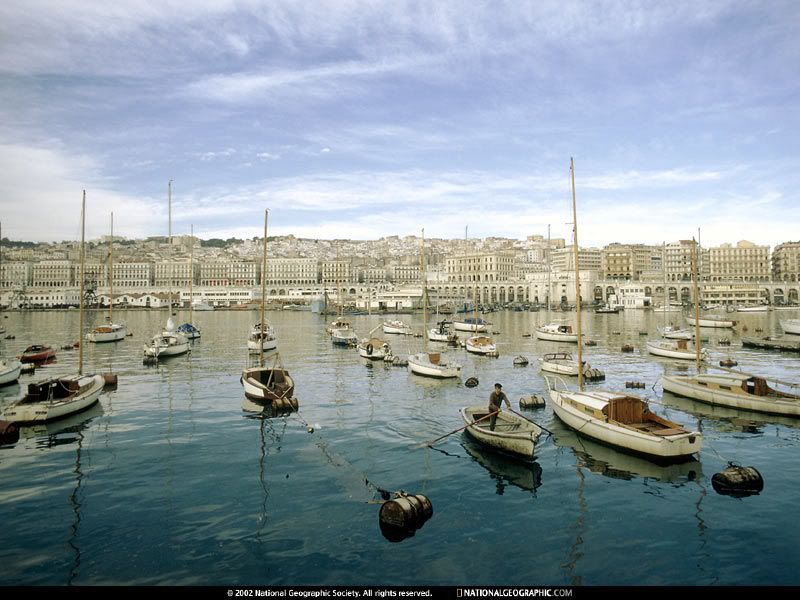 alger15.jpg