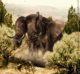 ©Emmy2006 - Kom ook meedoen!