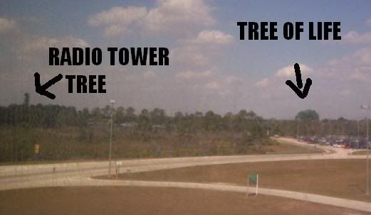 RADTOWERTREE.jpg