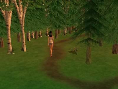snapshot_af876e69_0fb4bb36.jpg